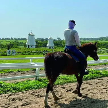 [표선]목장카페_승마1.9KM